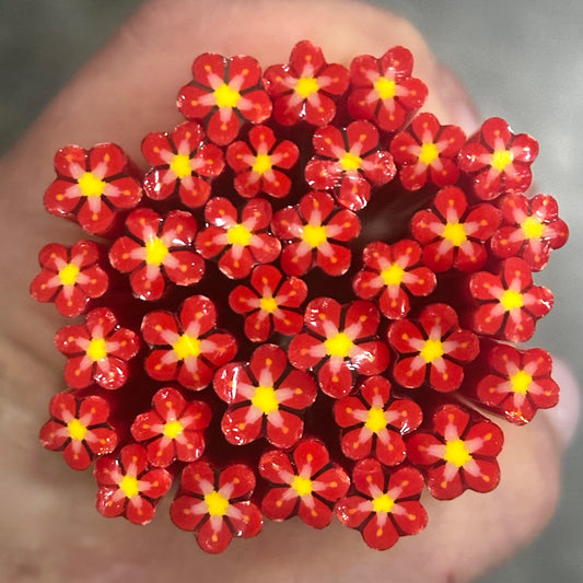 Noel coe 90 Flower Murrini MIX & MATCH ITEM