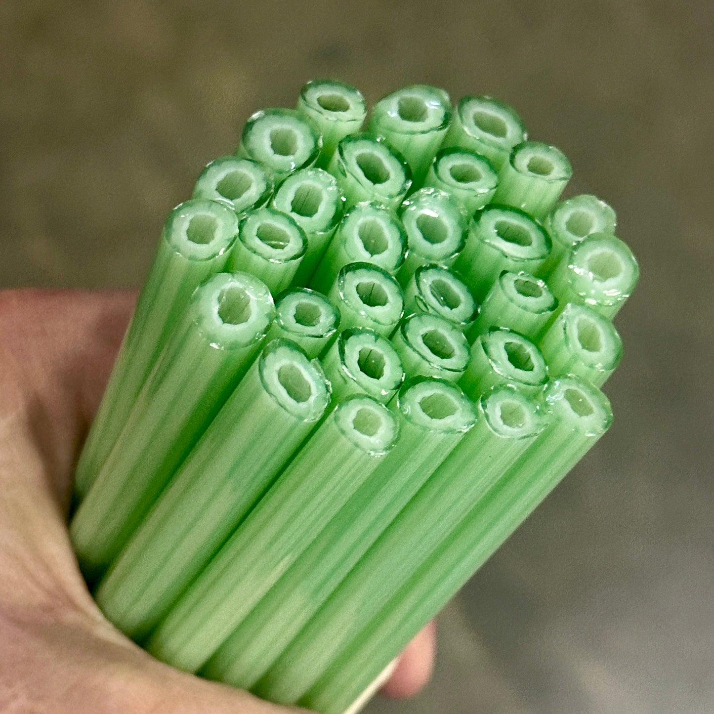 FATTER Green Anemone coe 90 Design Murrini SINGLE ROD