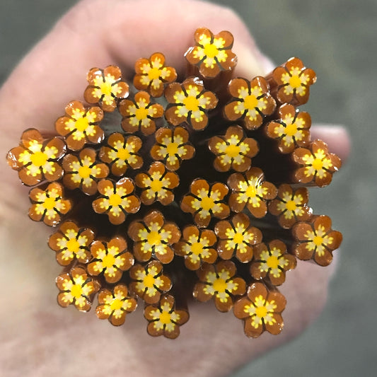 Coffee coe 90 Flower Murrini MIX & MATCH ITEM