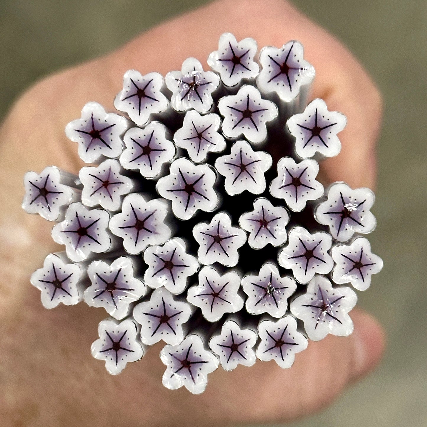 Purple Star coe 90 Flower Murrini MIX & MATCH ITEM