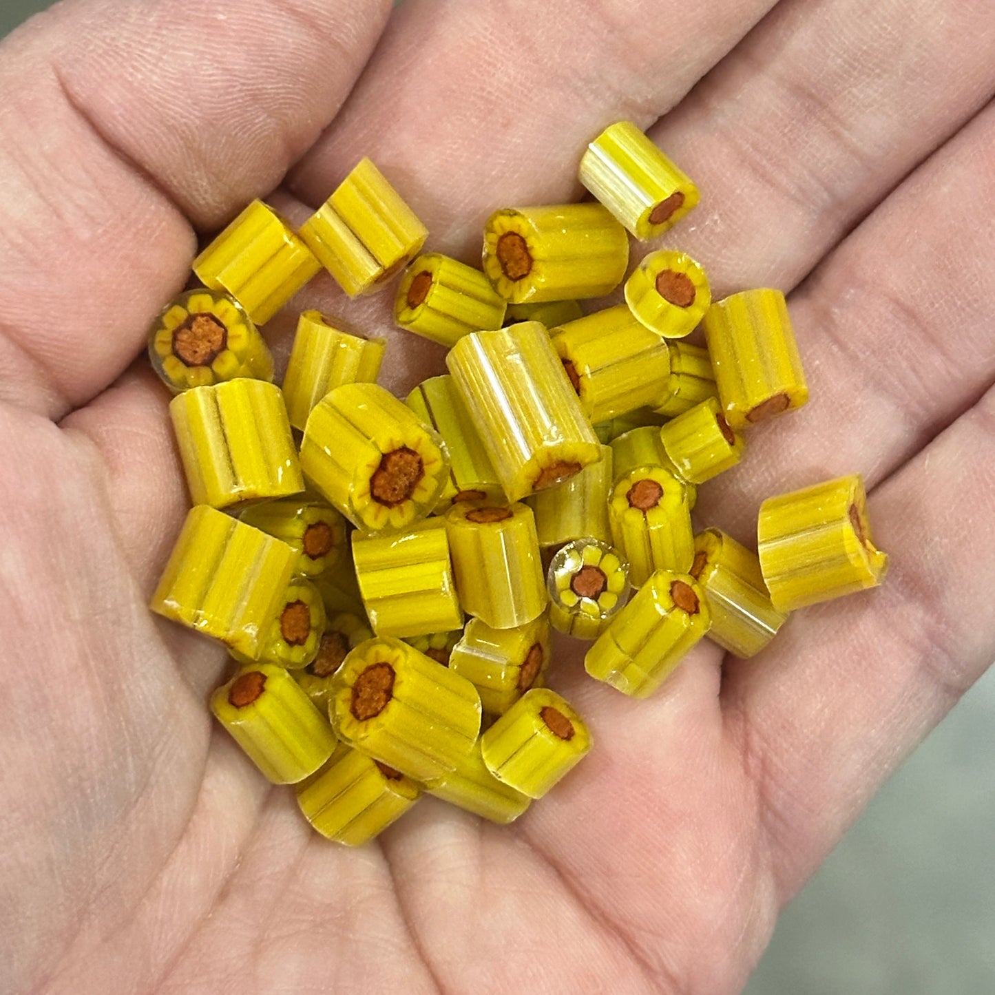 Sunflower Chunks, 1oz, coe 90 Fat Flower Murrini