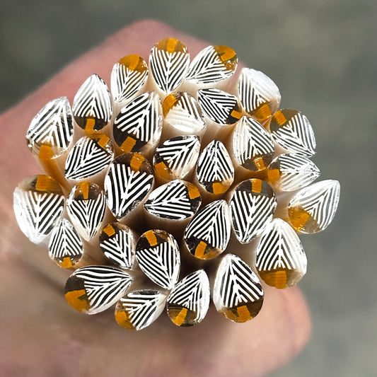 White Fir Trees coe 90 Leaf Murrini MIX & MATCH ITEM