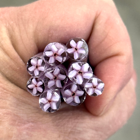 Light purple flowers.