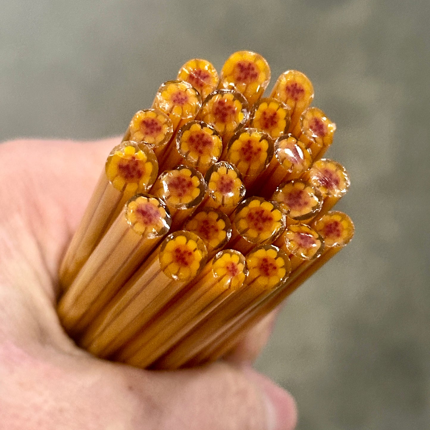 Mocha Daisy coe 90 Flower Murrini SINGLE ROD