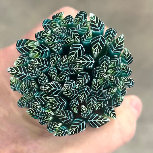 TWO Smaller Blue Hosta Leaves coe 90 Leaf Murrini MIX & MATCH ITEM