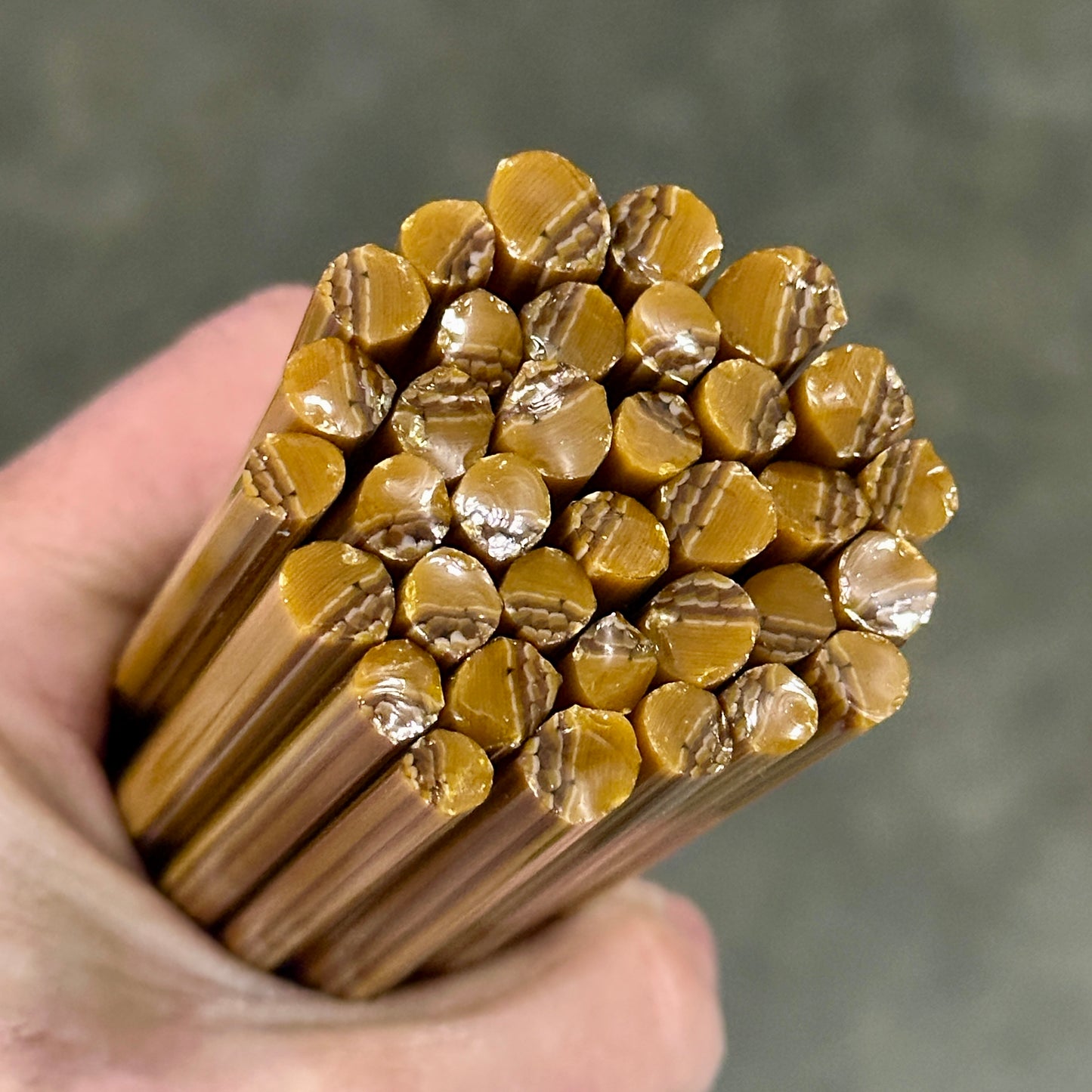 Acorns coe 90 Leaf Murrini SINGLE ROD