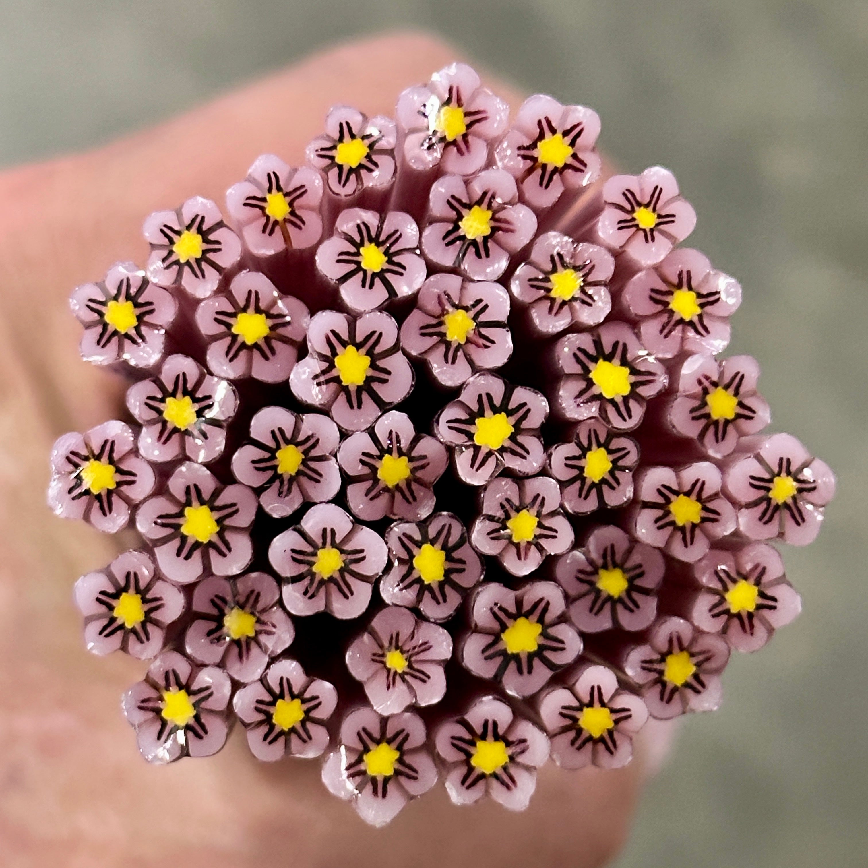 COE 90 Murrini Flowers – Wilderness Glass