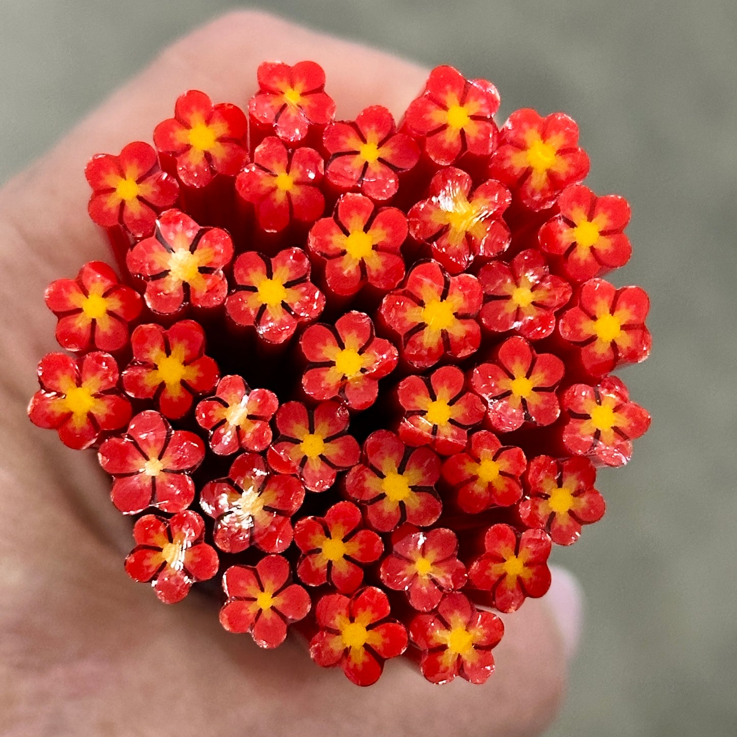 Carmesia coe 90 Flower Murrini SINGLE ROD
