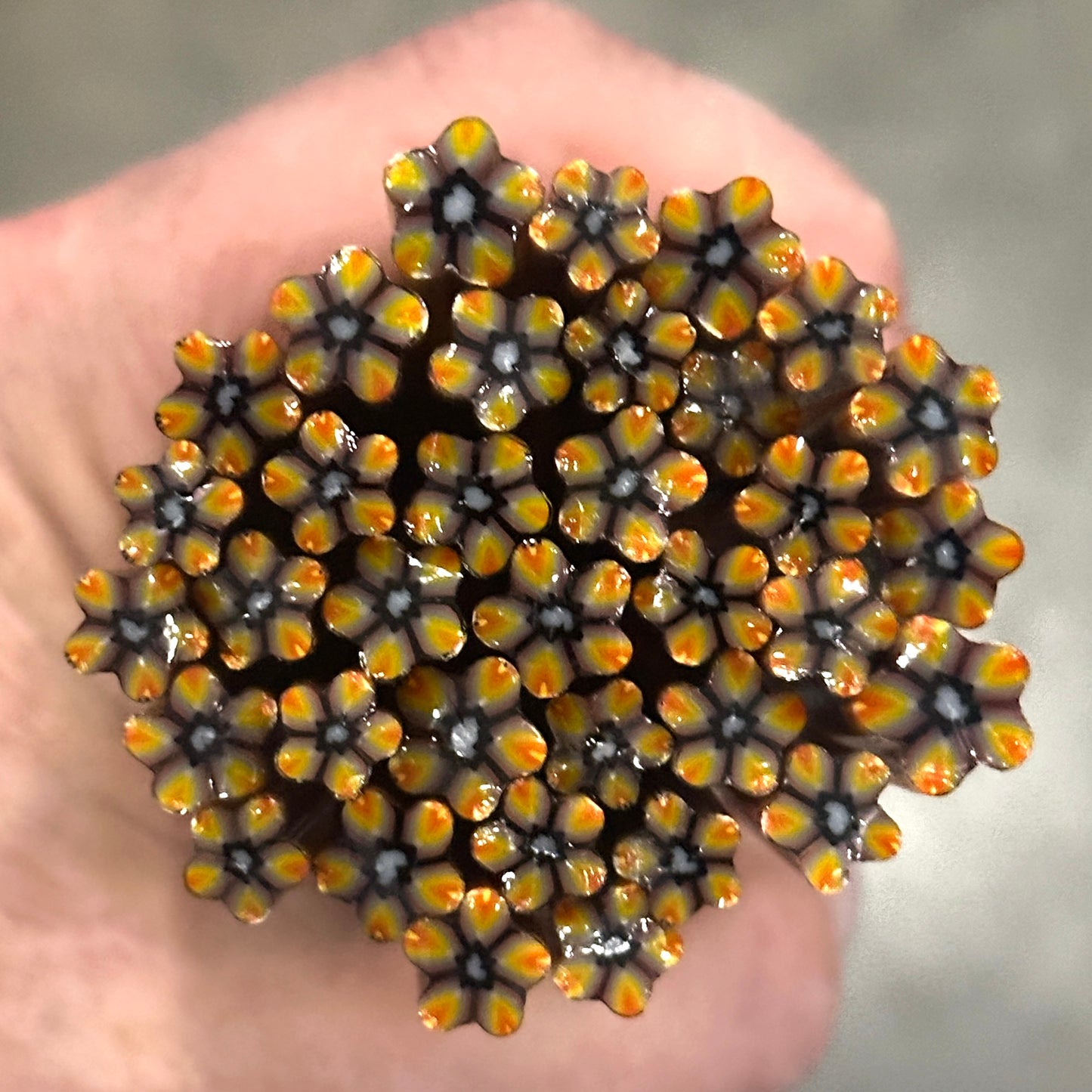 Chocolate coe 90 Flower Murrini SINGLE ROD