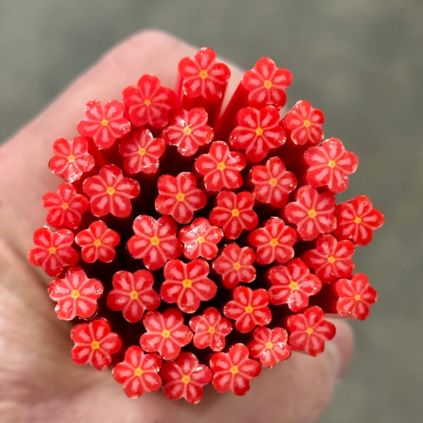 Christmas Flower coe 90 Flower Murrini SINGLE ROD