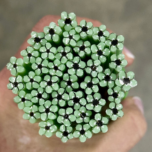 Dew Fern coe 90 Flower Murrini SINGLE ROD