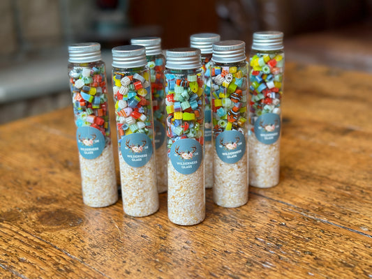 Sea Life Duo: 3oz Sea Life, 2oz Beach Sand