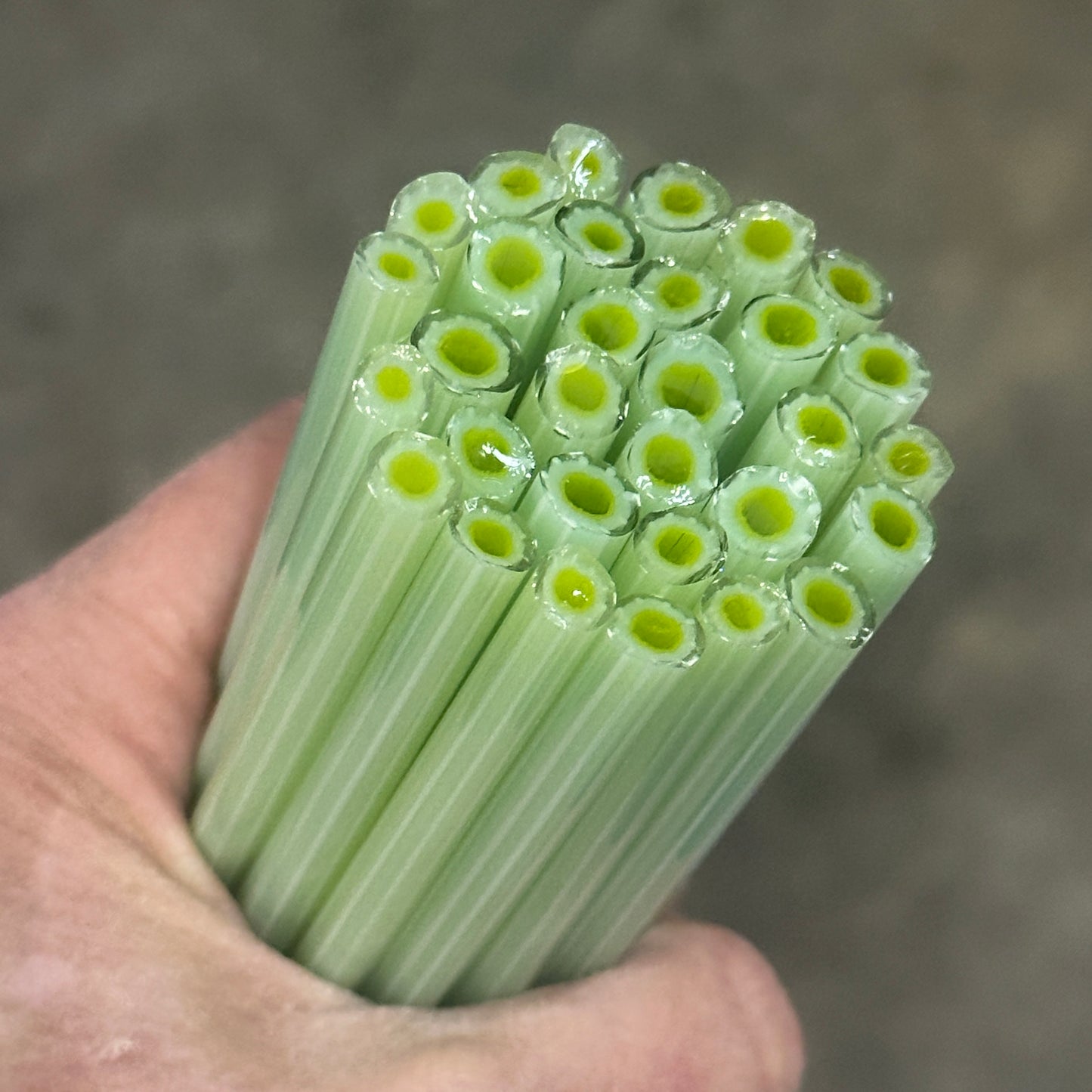 Green Anemone coe 90 Design Murrini SINGLE ROD