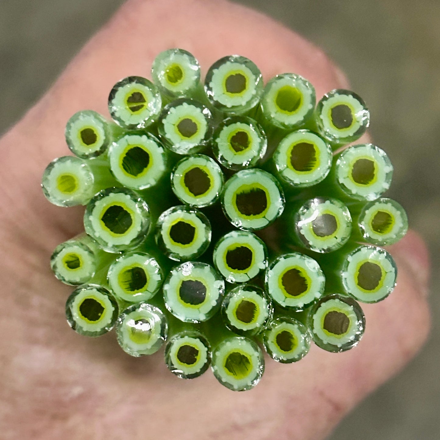 Green Anemone coe 90 Design Murrini SINGLE ROD