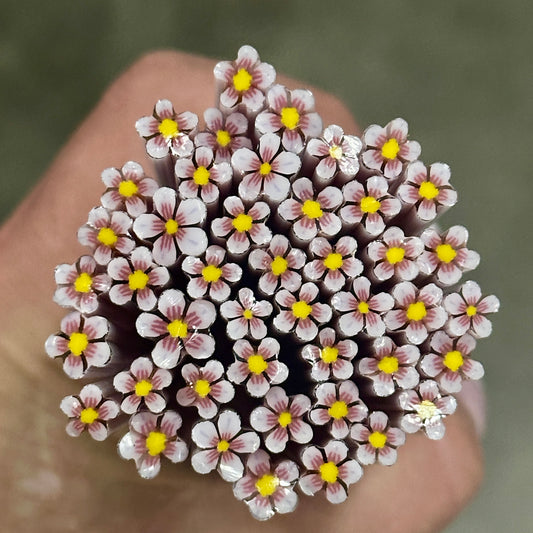 Halo Blossom coe 90 Flower Murrini SINGLE ROD