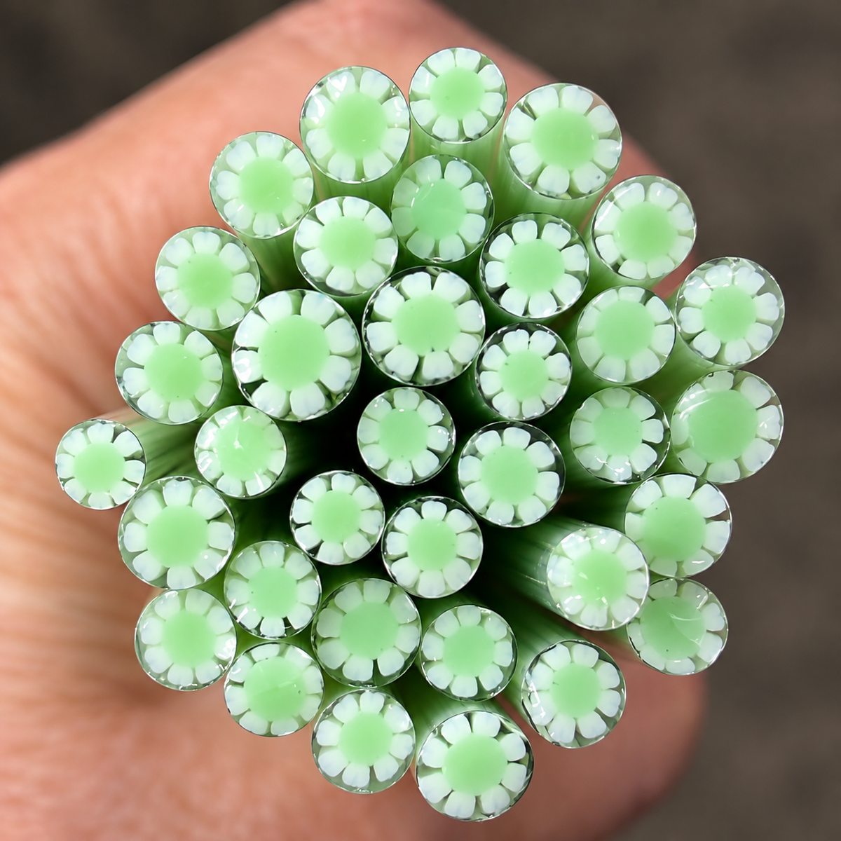 Soft Green coe 90 Flower Murrini SINGLE ROD