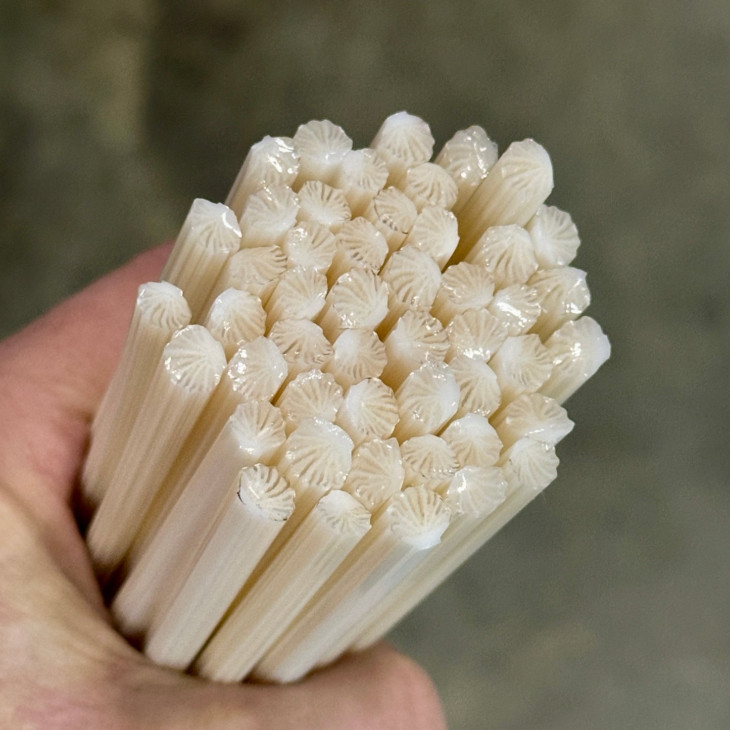 Smaller Pale Clams coe 90 Design Murrini SINGLE ROD