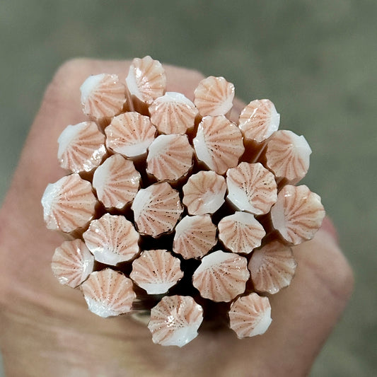 Peach Clams coe 90 Design Murrini SINGLE ROD