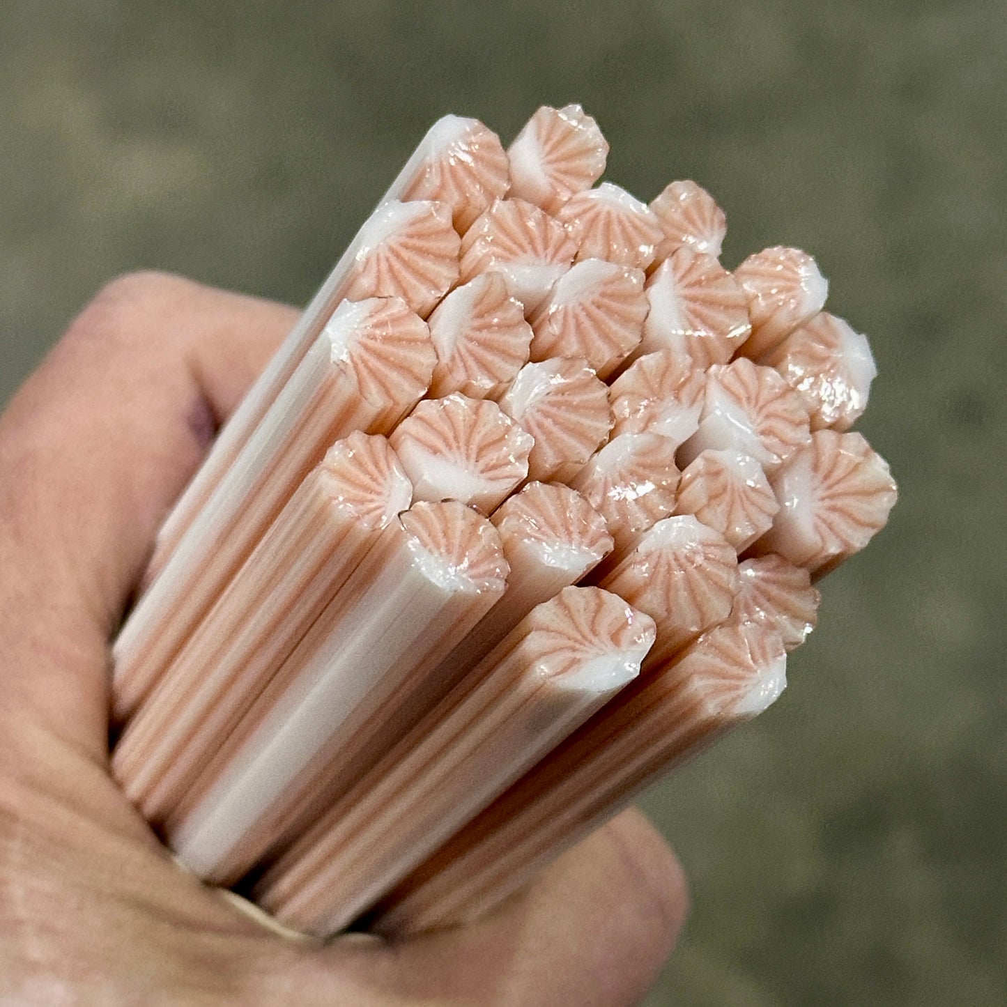 Peach Clams coe 90 Design Murrini SINGLE ROD