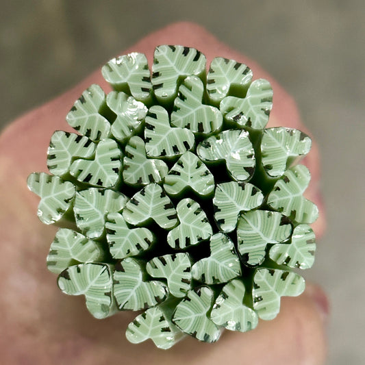 Philodendron Leaves coe 90 Leaf Murrini SINGLE ROD