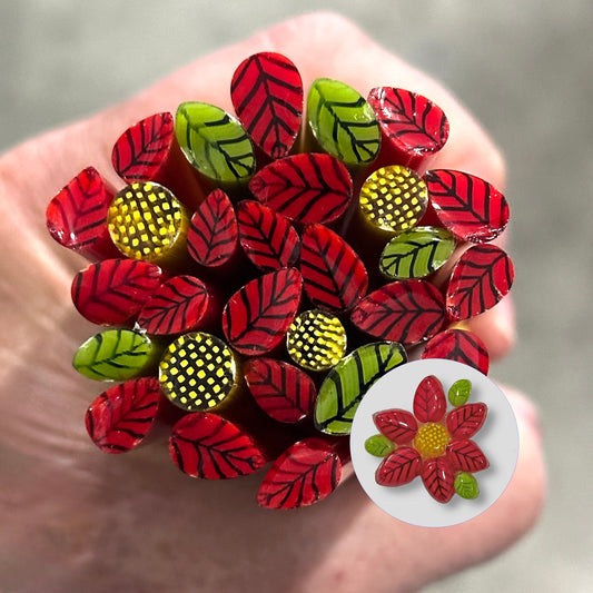 Poinsettia Mix coe Flower 90 Murrini