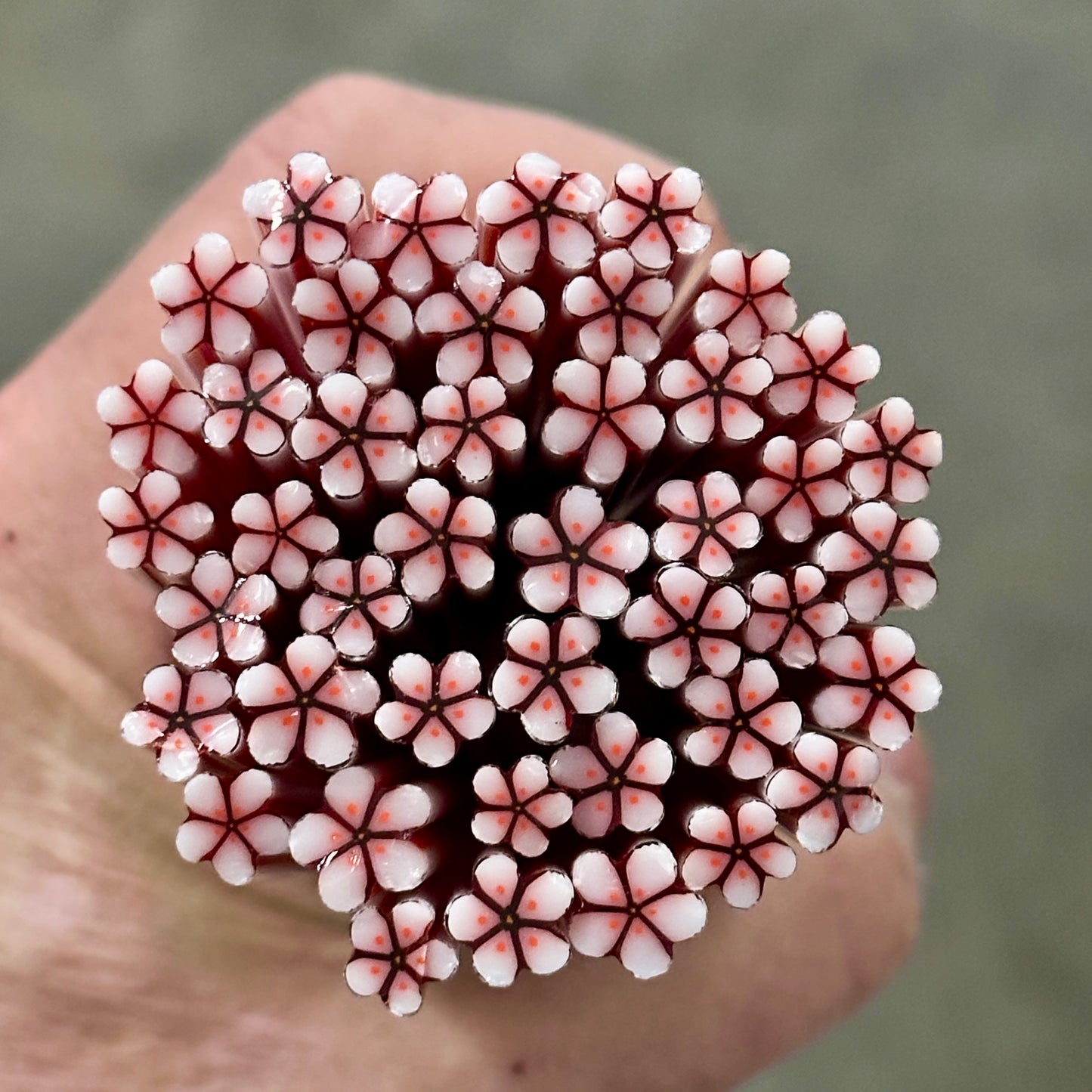 Red Noel coe 90 Flower Murrini SINGLE ROD