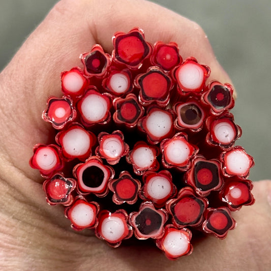 Red and White Concentric Cane coe 90 CANE