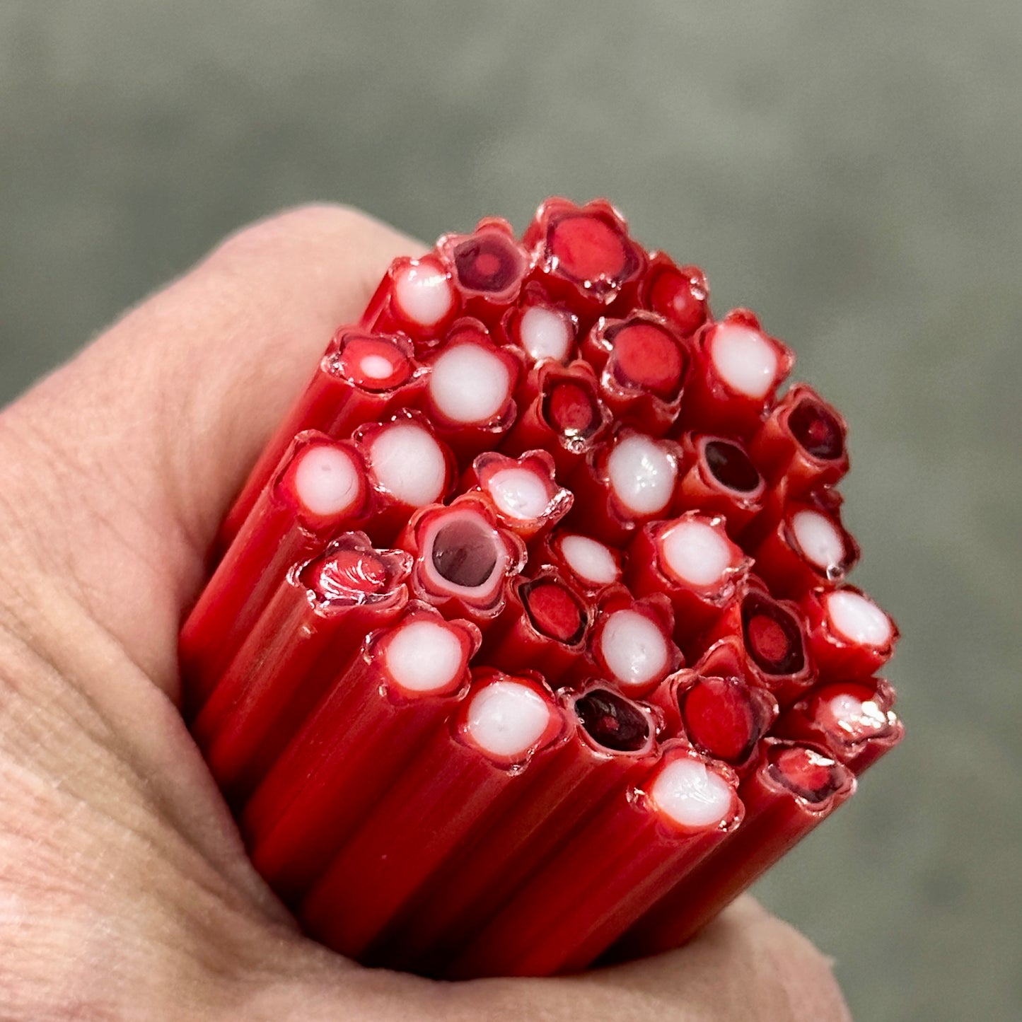 Red and White Concentric Cane coe 90 CANE