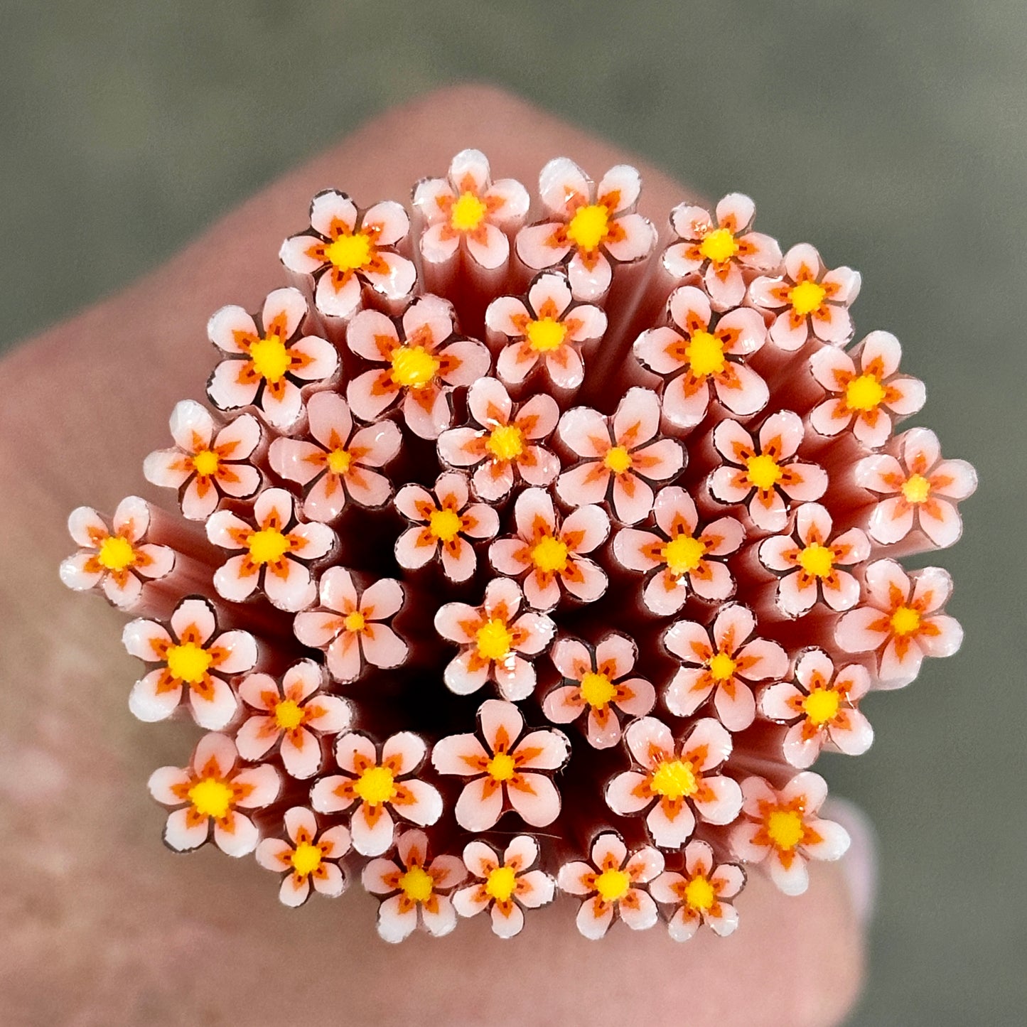 Star Veil coe 90 Flower Murrini SINGLE ROD