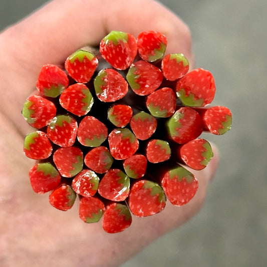 Strawberries coe 90 Design Murrini SINGLE ROD