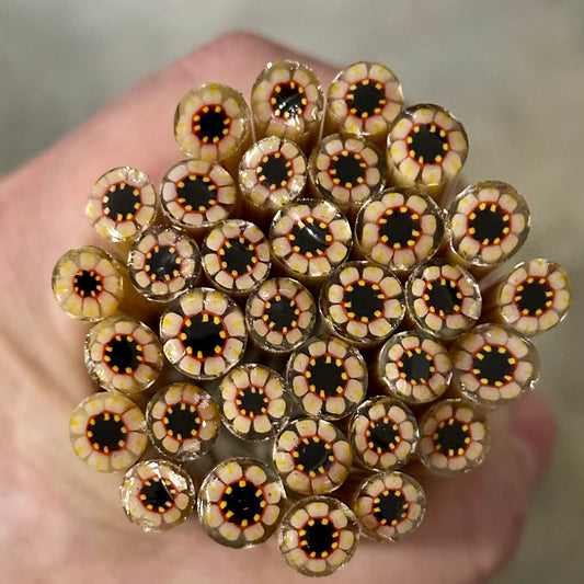 Straw Flower coe 90 Murrini SINGLE ROD