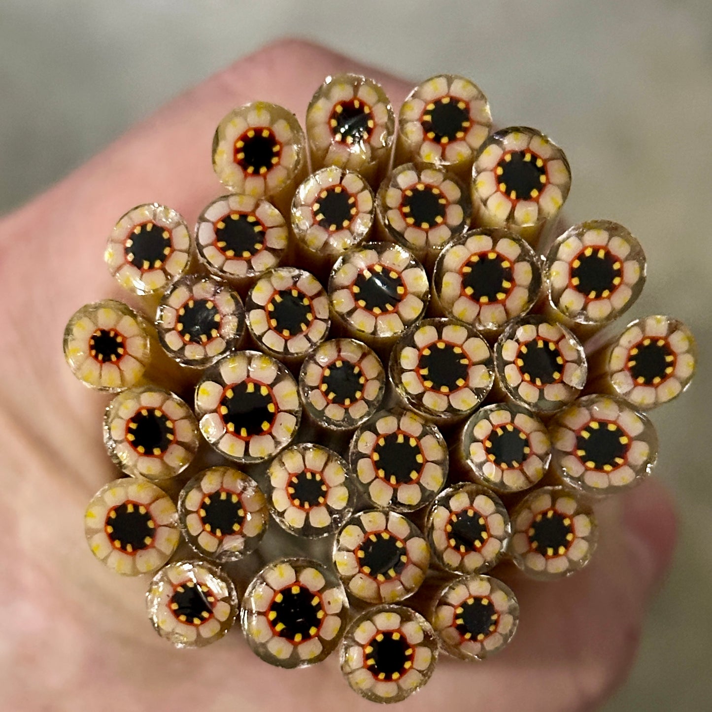 Straw Flower coe 90 Flower Murrini SINGLE ROD