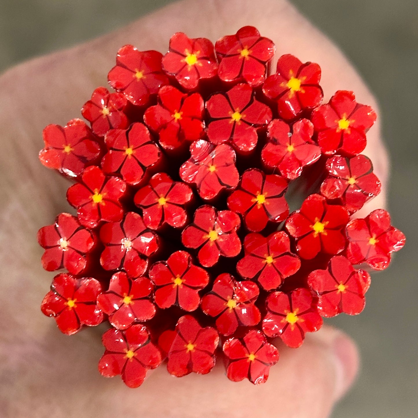 TWO Sunkissed BUDS coe 90 Flower TWO RODS