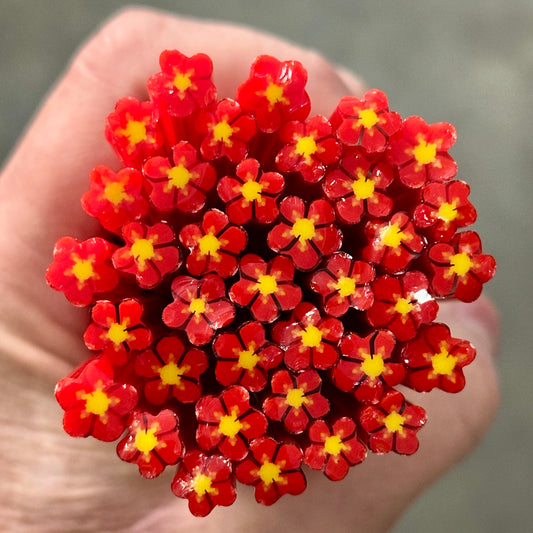 Sun Kissed coe 90 Flower Murrini MIX & MATCH ITEM