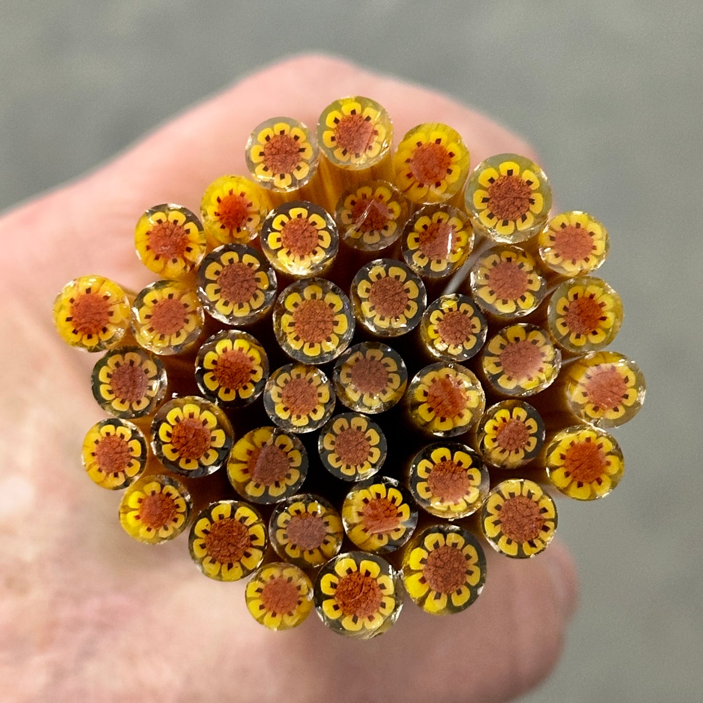 Sunflowers coe 90 Flower Murrini SINGLE ROD