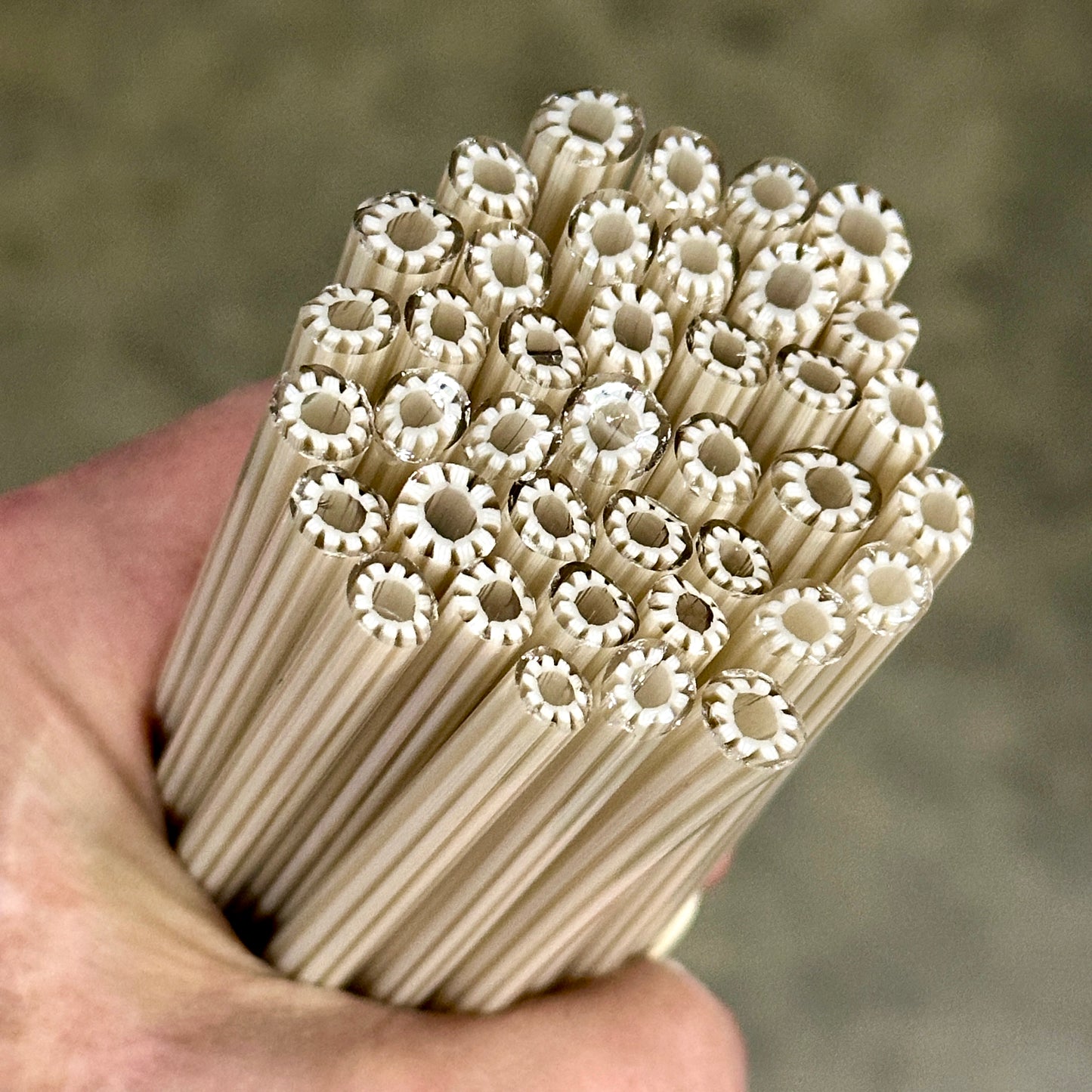 Tan Anemone coe 90 Design Murrini SINGLE ROD