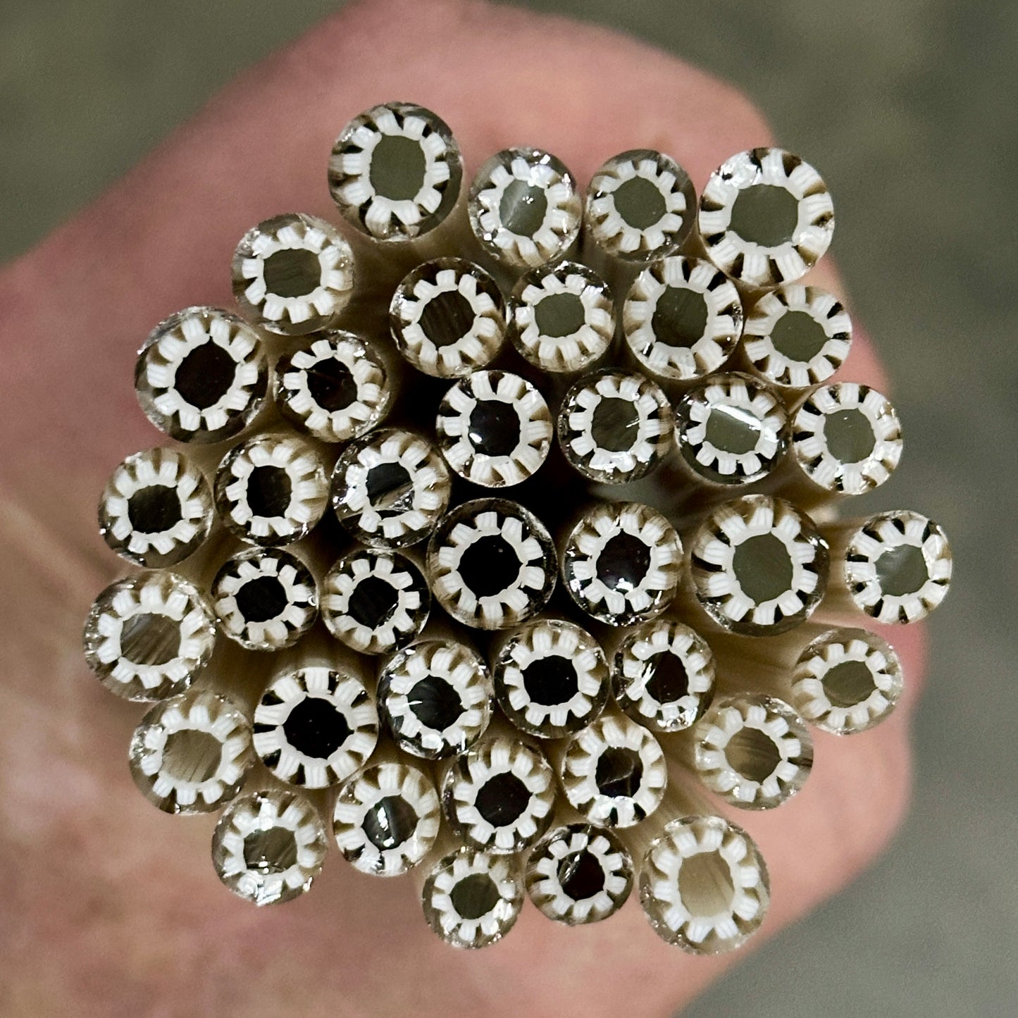 Tan Anemone coe 90 Design Murrini SINGLE ROD