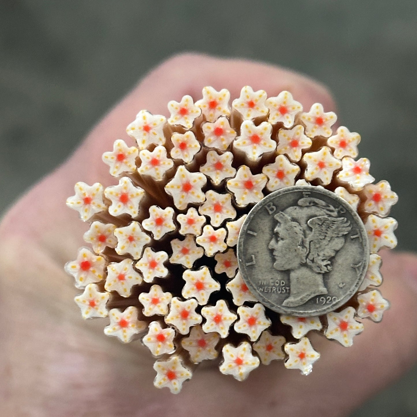 Tiny Brielle Flowers 1oz coe 90 Flower Murrini TINY RODS (FOUR)