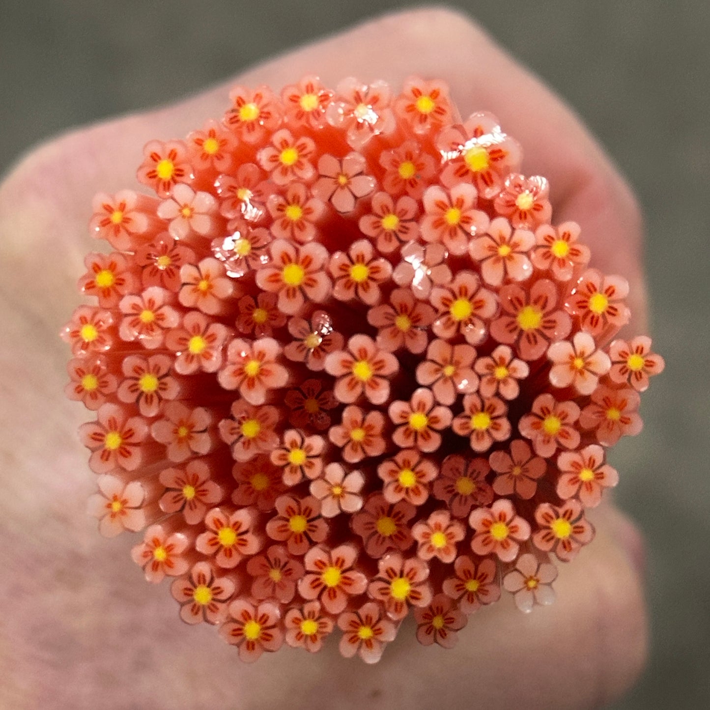 Tiny Eleanor Flowers 1oz coe 90 Flower Murrini TINY RODS (FOUR)