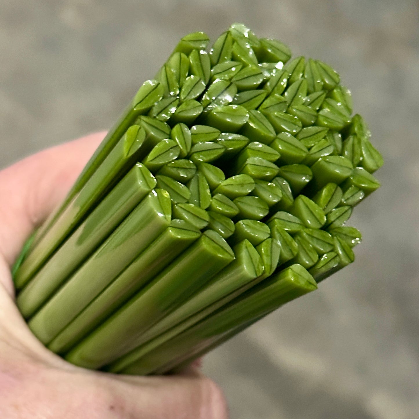 Tiny Long Leaves 1oz coe 90 Leaves Murrini TINY RODS (NOON)