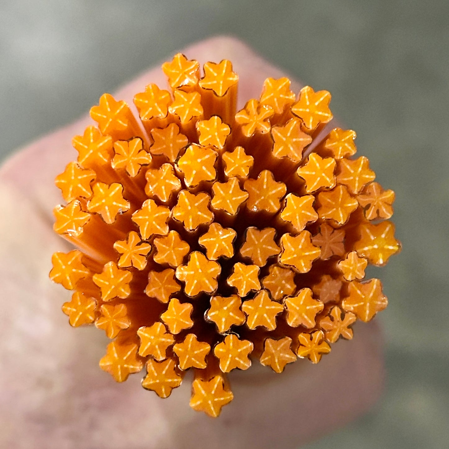 Tiny Orange STARFISH 1oz coe 90 Design Murrini TINY RODS (NOON)