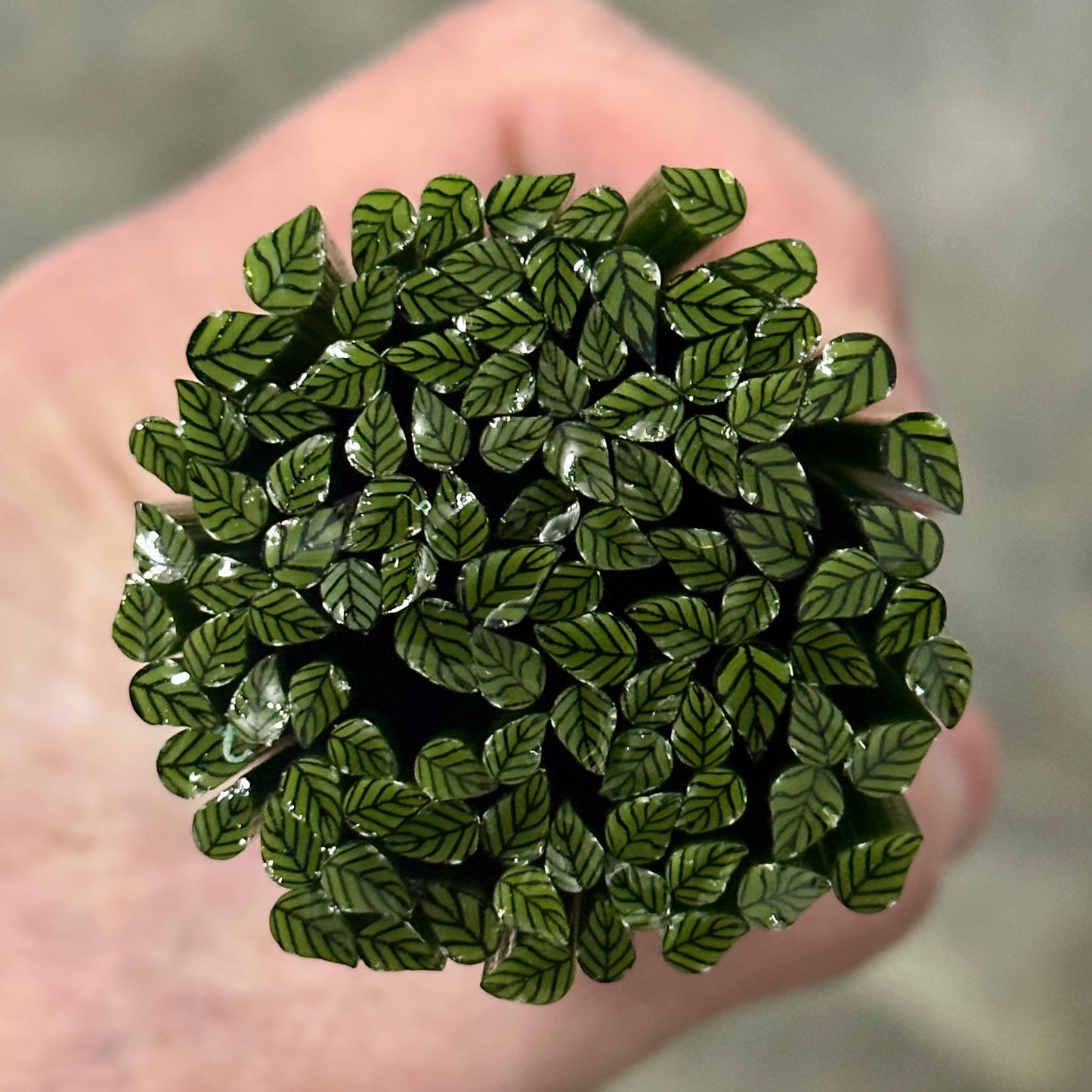 Tiny Redbuds 1oz coe 90 Leaves Murrini TINY RODS (NOON)