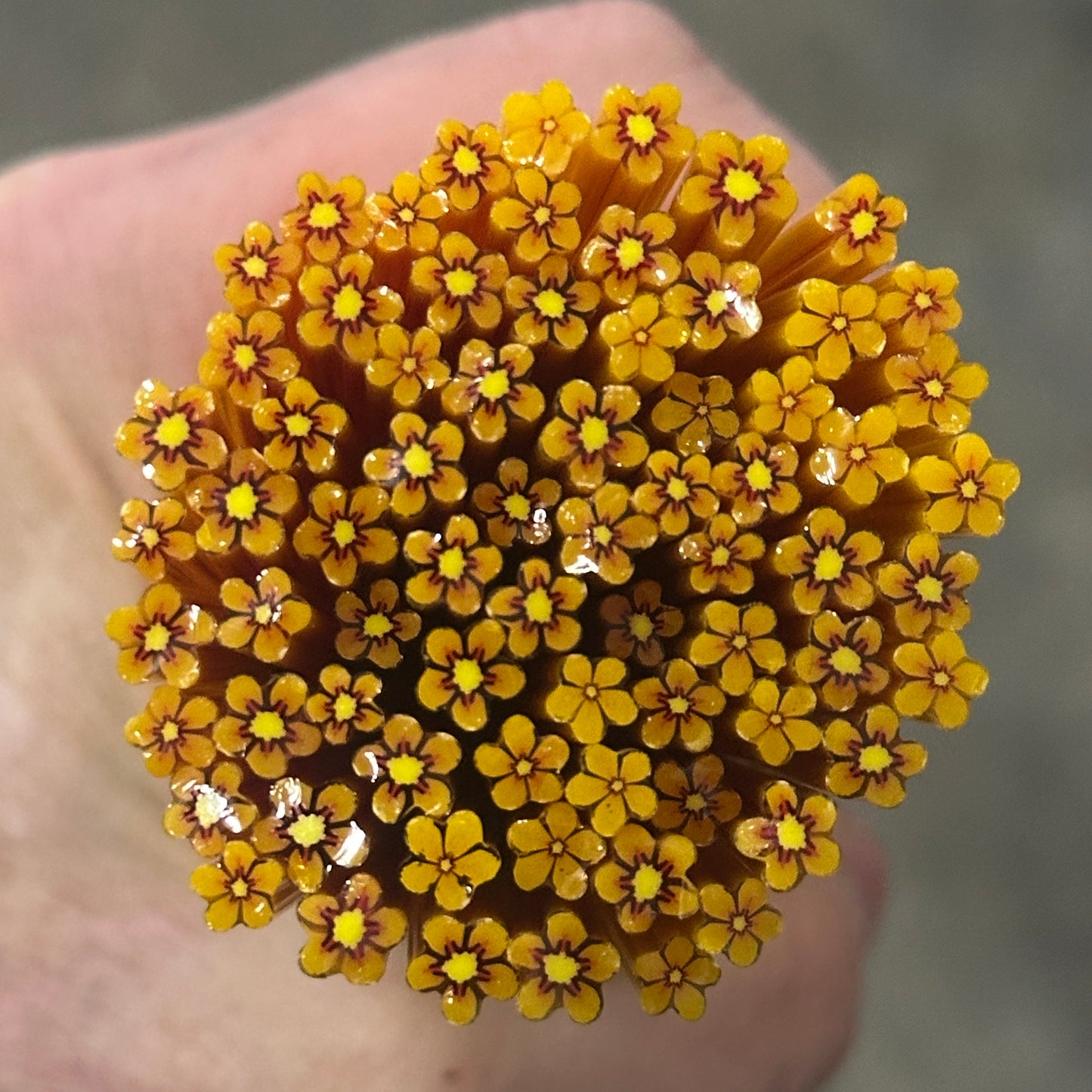 Tiny Yellow Wildflowers 1oz coe 90 Flower Murrini TINY RODS (NOON)