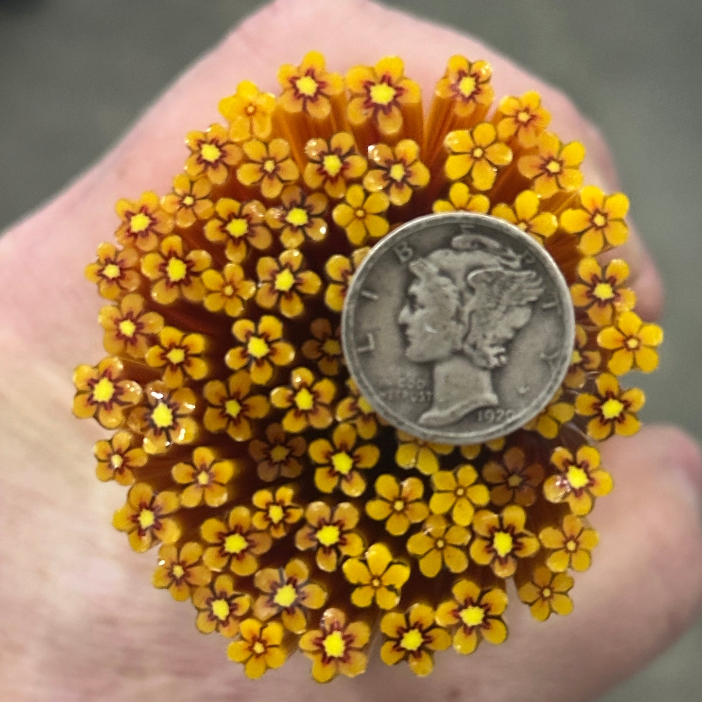 Tiny Yellow Wildflowers 1oz coe 90 Flower Murrini TINY RODS (NOON)