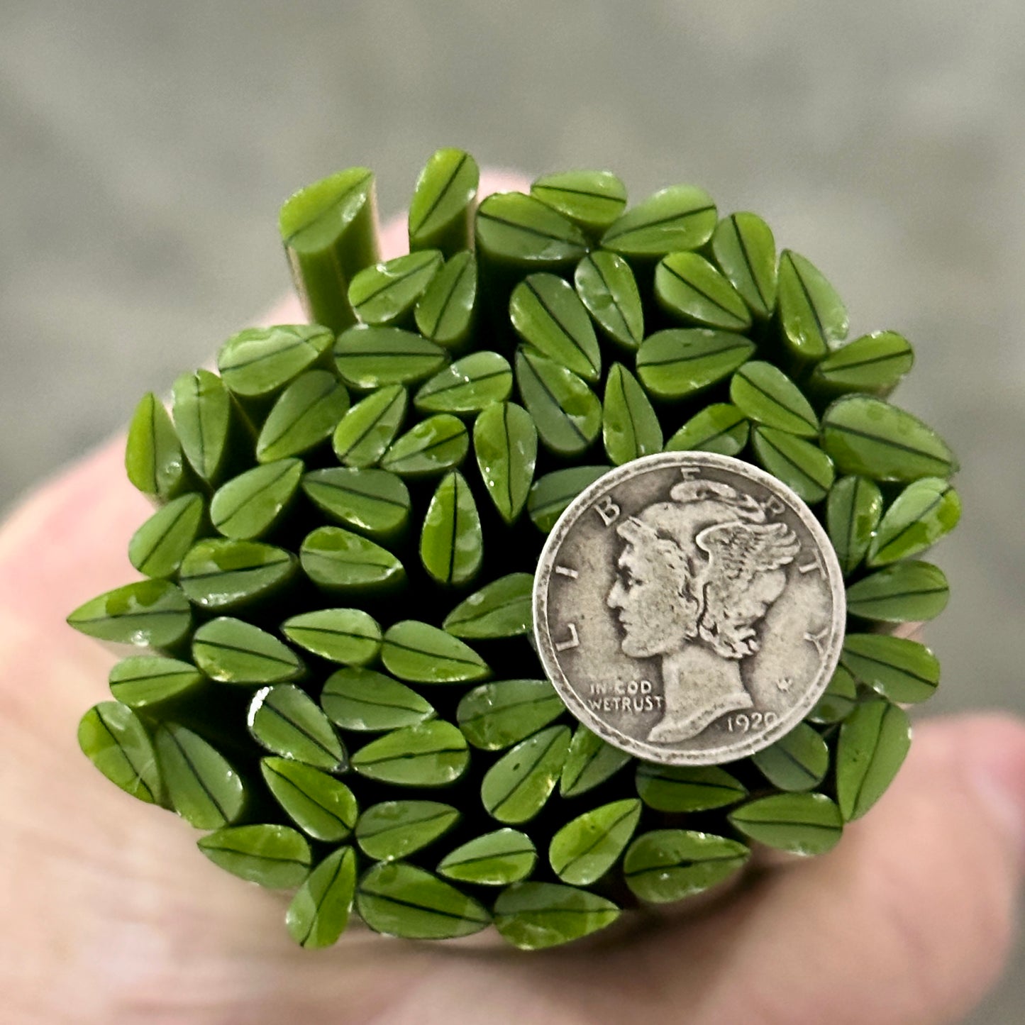 Tiny Long Leaves 1oz coe 90 Leaves Murrini TINY RODS (NOON)