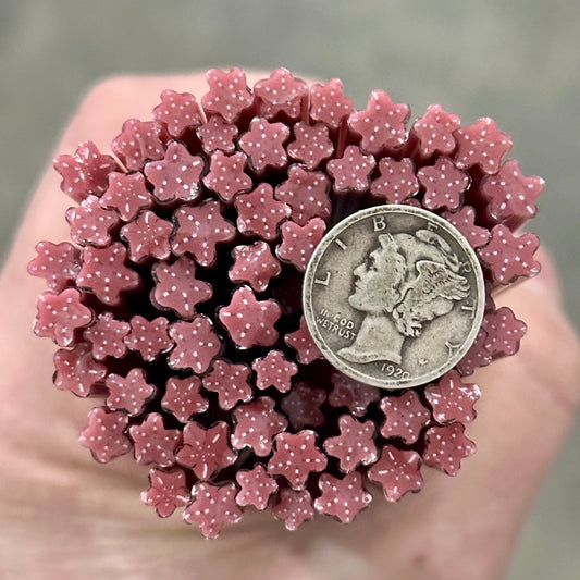 Tiny Pink STARFISH 1oz coe 90 Design Murrini TINY RODS (NOON)