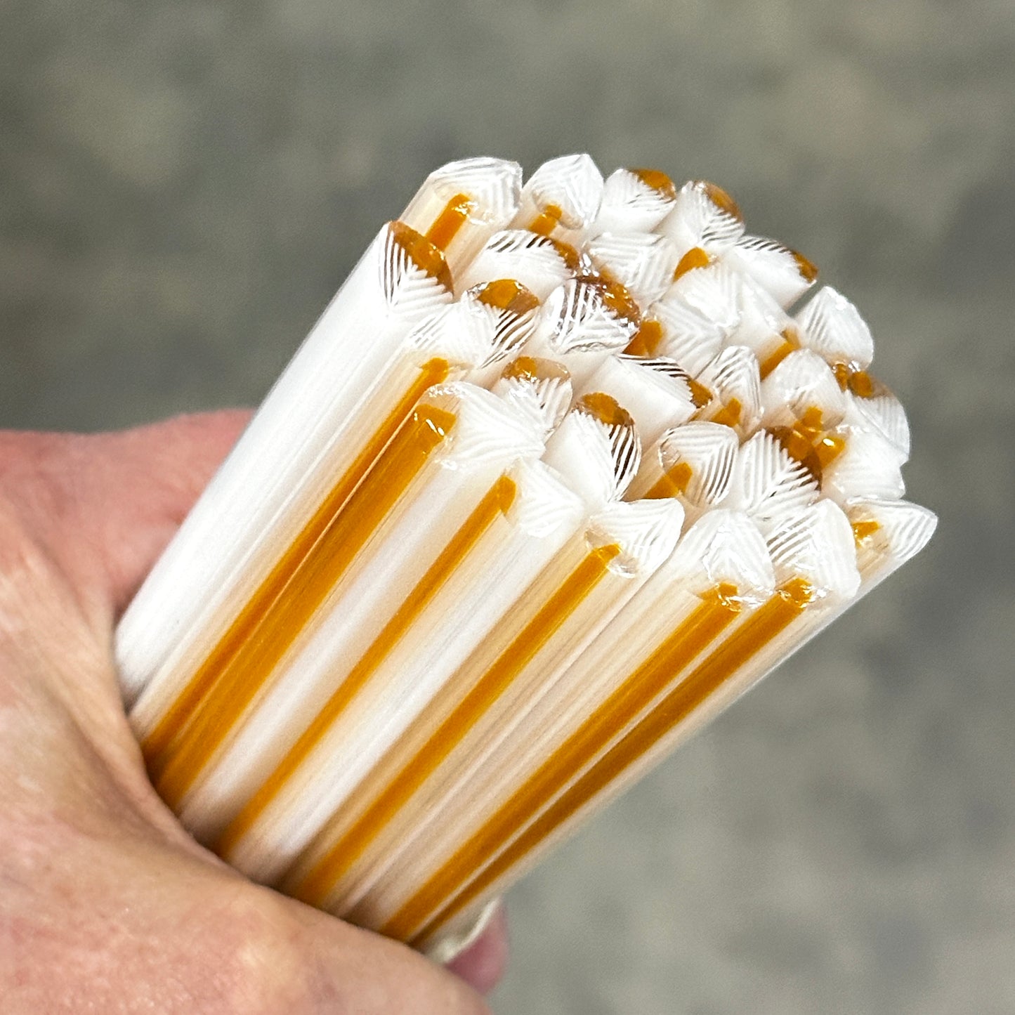 White Fir Tree coe 90 Leaf Murrini SINGLE ROD