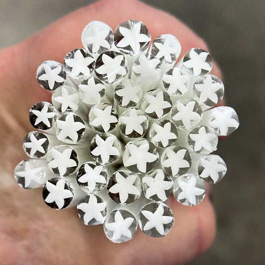 White Stars coe 90 Design Murrini MIX & MATCH ITEM