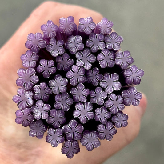 Wild Heather Flower coe 90 Murrini SINGLE ROD