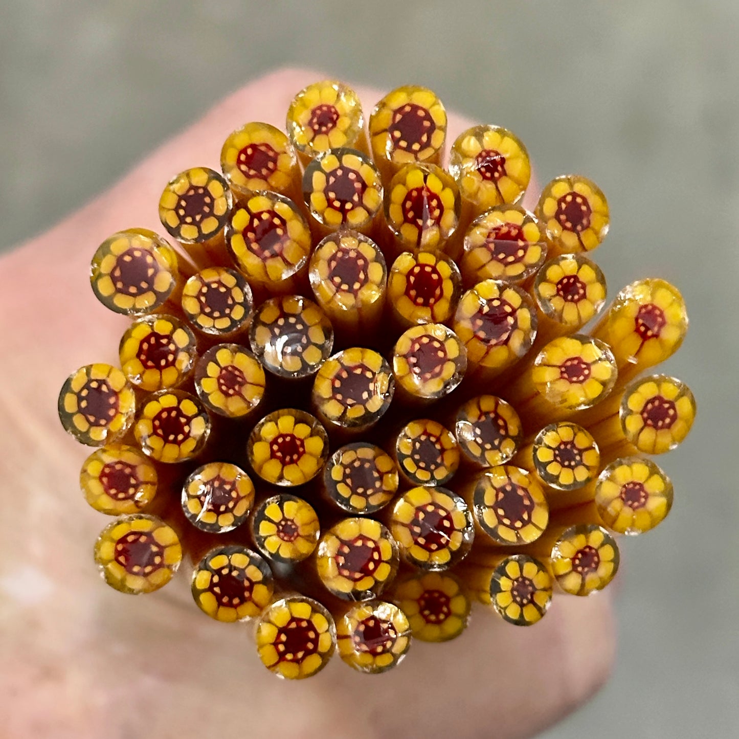Yellow Daisy coe 90 Flower Murrini SINGLE ROD
